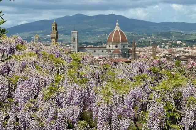 view of florence from villa bardini