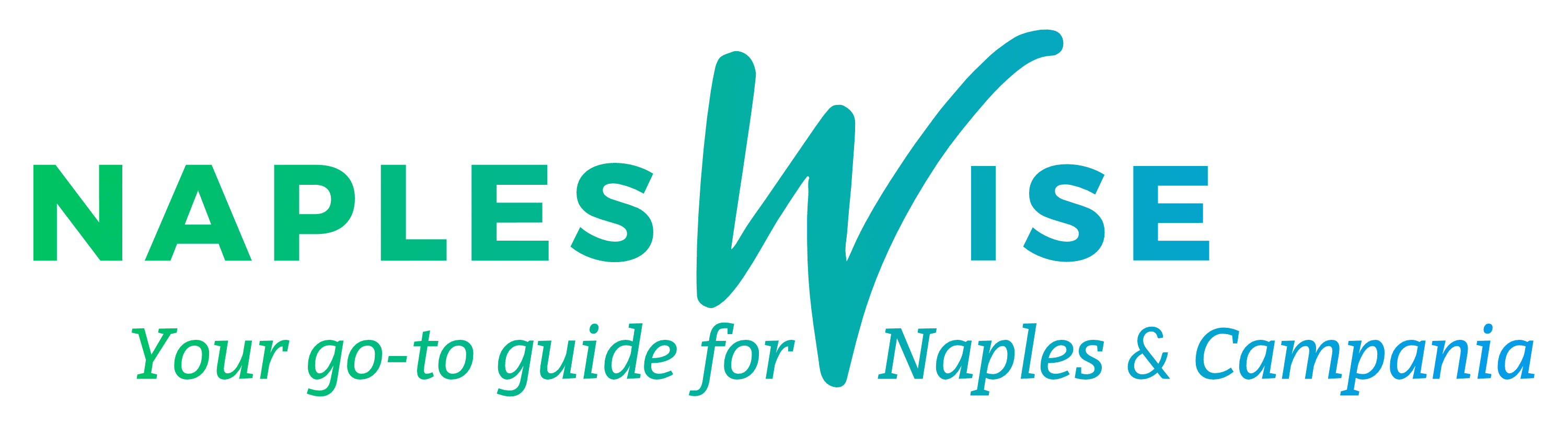 Napleswise logo