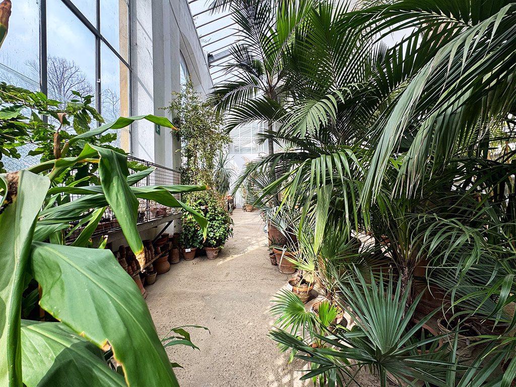 Botanical Garden Cool Greenhouse Interior Plants